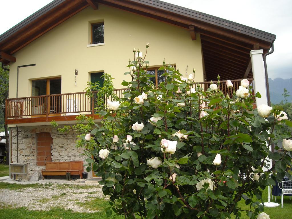 Agriturismo Il Girasole Фелтре Екстериор снимка