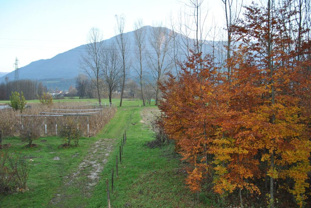 Agriturismo Il Girasole Фелтре Екстериор снимка
